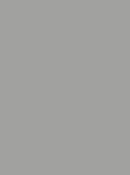 02 - Grau