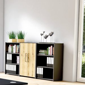 Regale 3OH Tueren-Asteiche